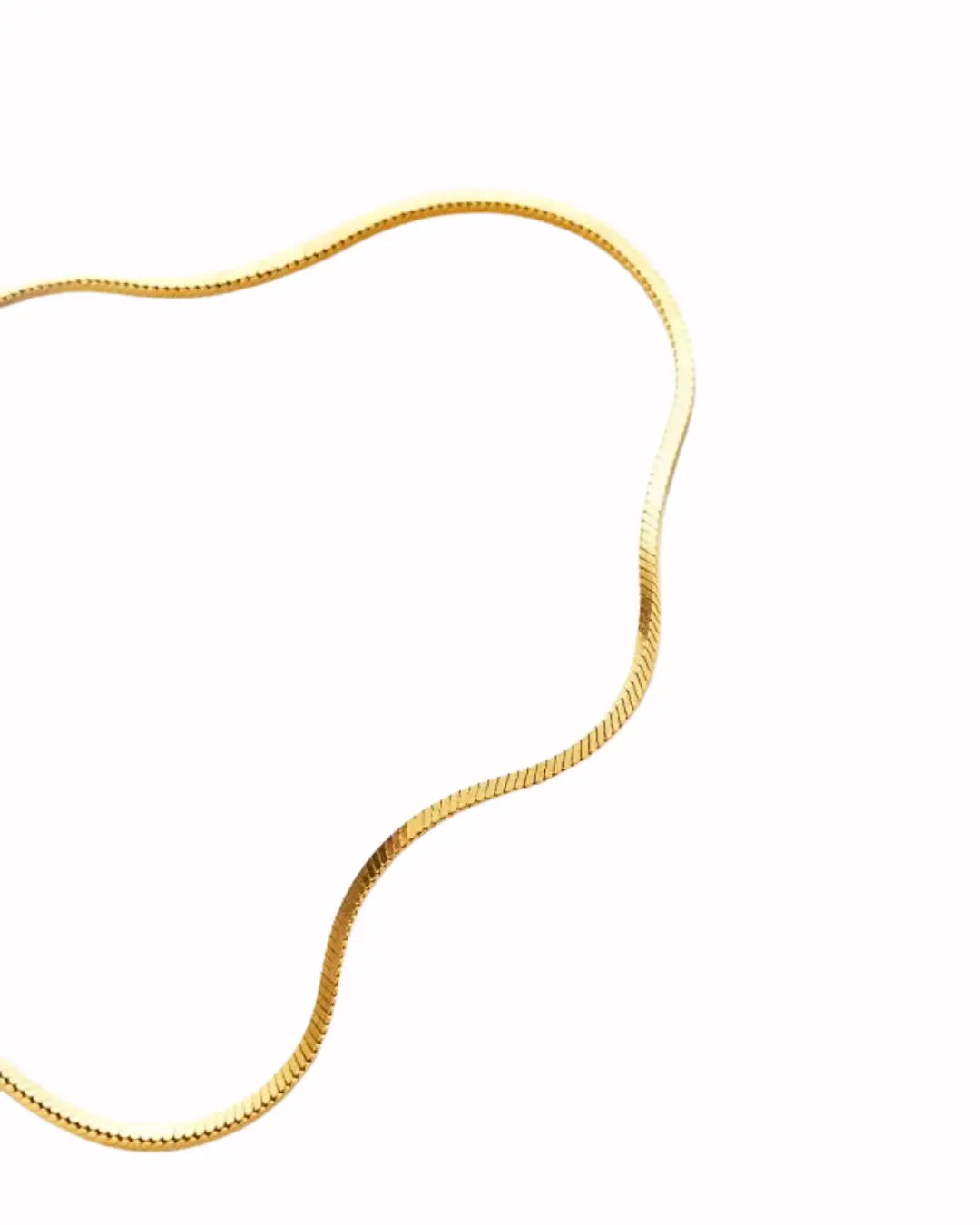 Golden Glide Snake Chain Anklet