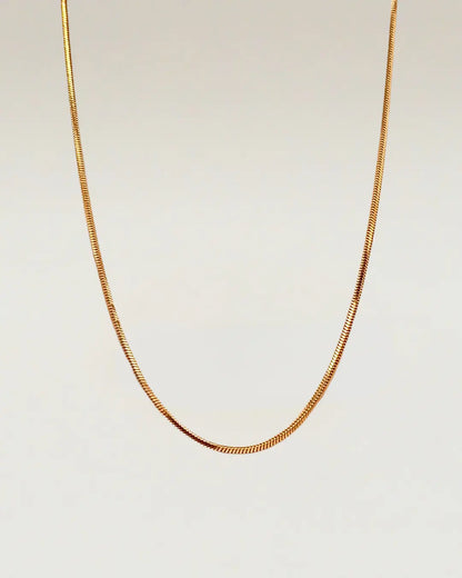 Sleek Gold Chain Necklace