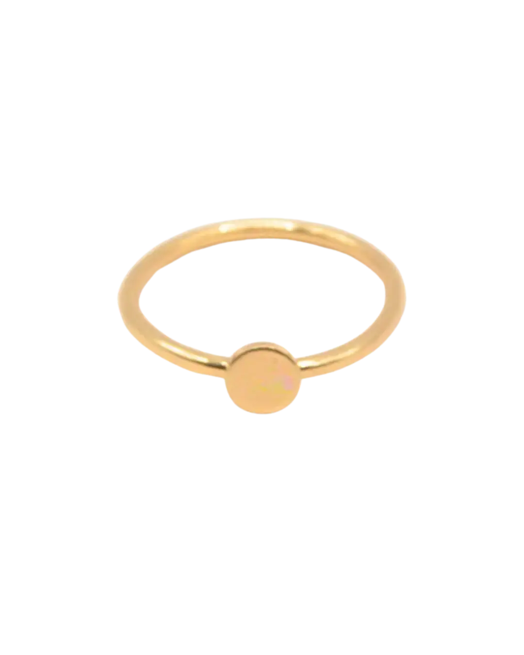 Disc Coin Gold Filled Ring