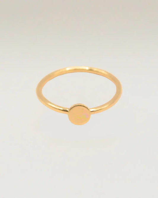 Disc Coin Gold Filled Ring