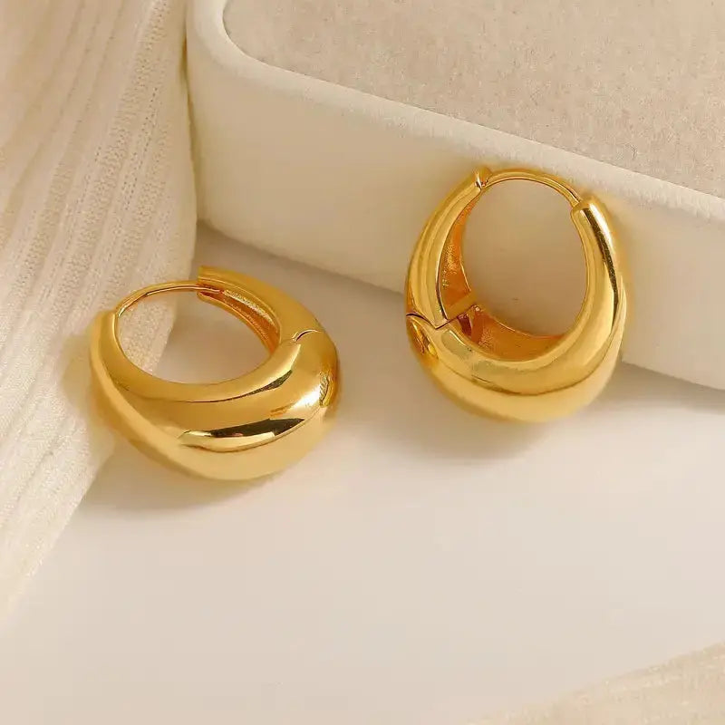 Elegant Hoop Earrings