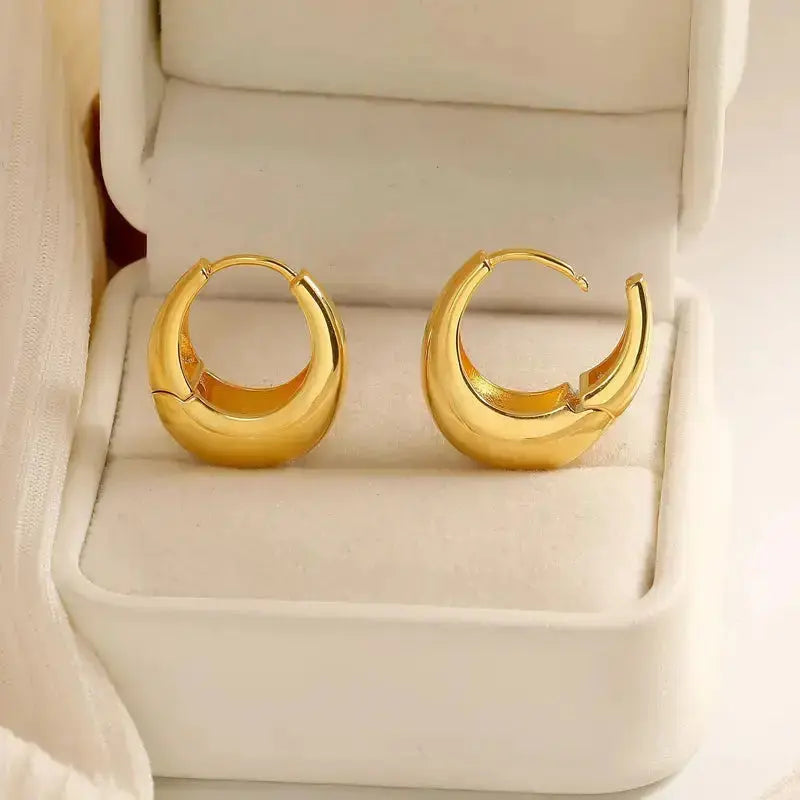 Elegant Hoop Earrings