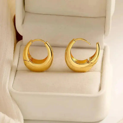 Elegant Hoop Earrings