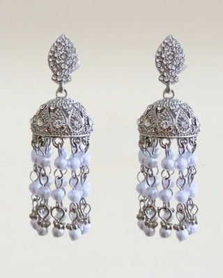 Dazzling Earrings