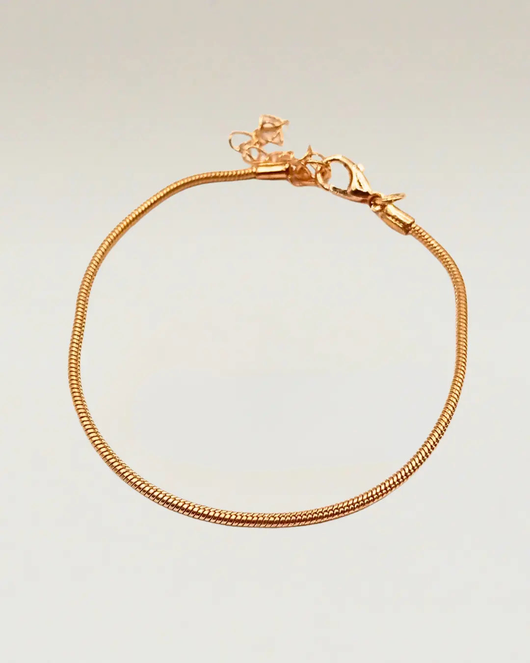 Snake Chain Bracelet