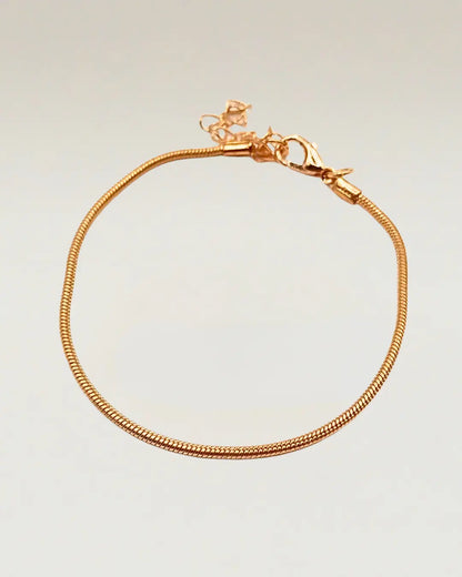 Snake Chain Bracelet