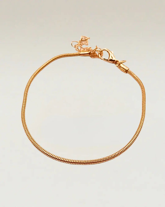 Snake Chain Bracelet