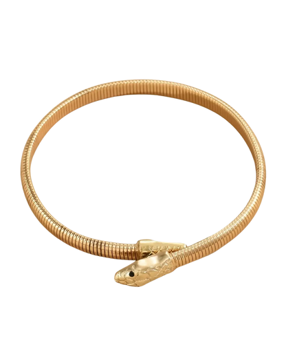 Snake-shaped Punk Style Necklace