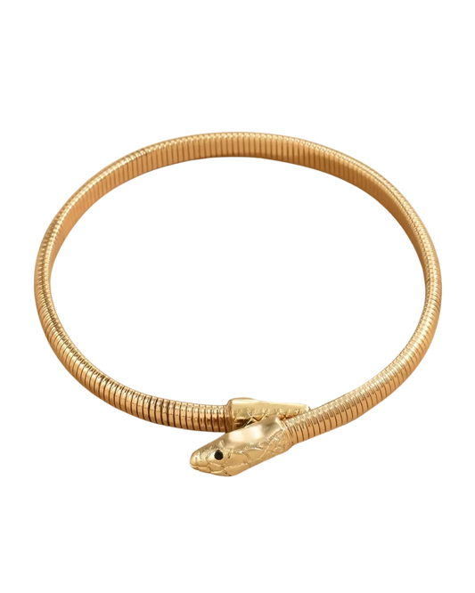 Snake-shaped Punk Style Necklace