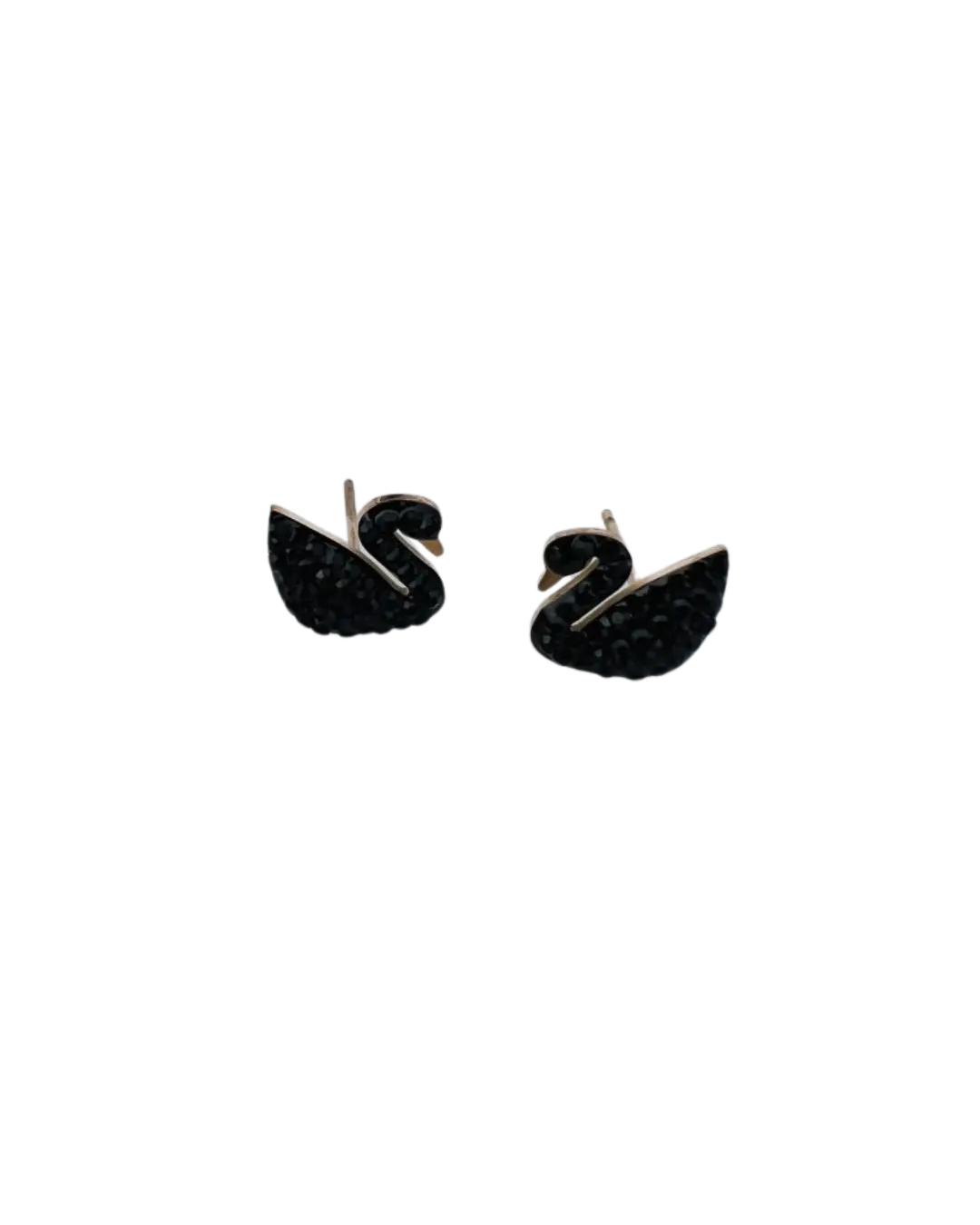 Black Swan Charm