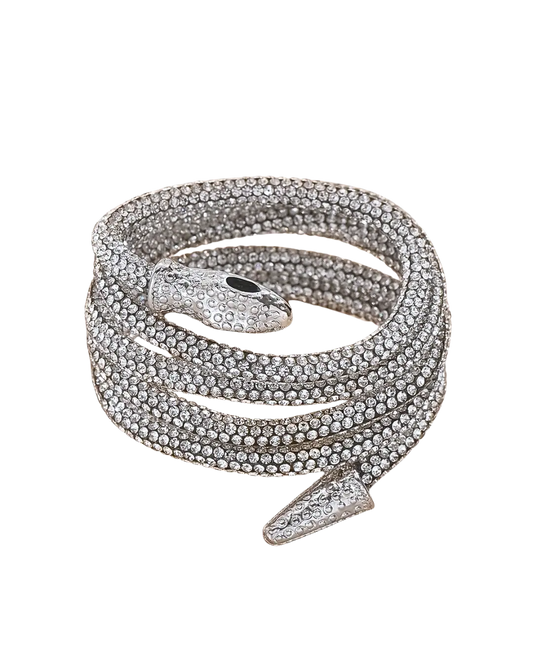 Snake Chain Anklet