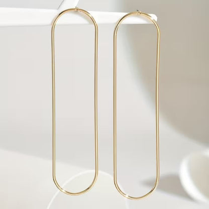 Circle Long Earrings